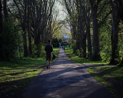 A quiet urban park path with green trees where people walk slowly during a peaceful afternoon